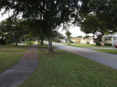 Enlarge photo 92
