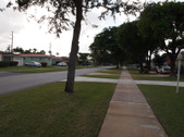 Enlarge photo 99