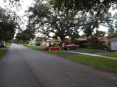 Enlarge photo 114