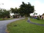 Enlarge photo 116