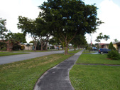 Enlarge photo 117