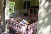Enlarge photo 29