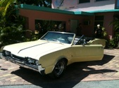 Enlarge photo 33