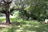 Enlarge photo 30