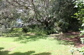Enlarge photo 34