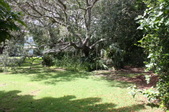 Enlarge photo 36