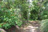 Enlarge photo 37