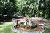 Enlarge photo 41