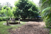 Enlarge photo 42