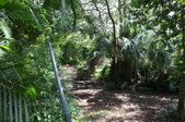 Enlarge photo 45