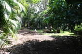 Enlarge photo 44