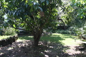 Enlarge photo 48