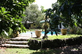Enlarge photo 49