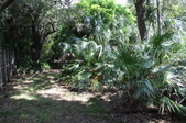 Enlarge photo 50