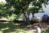 Enlarge photo 52
