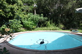 Enlarge photo 54