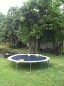 Enlarge photo 4