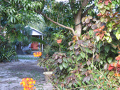 Enlarge photo 17