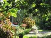 Enlarge photo 4