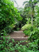Enlarge photo 35