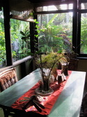 Enlarge photo 32