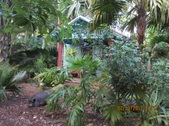 Enlarge photo 23
