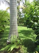 Enlarge photo 43
