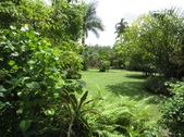 Enlarge photo 42