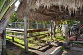 Enlarge photo 30
