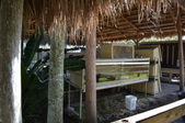 Enlarge photo 33
