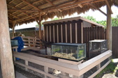 Enlarge photo 35