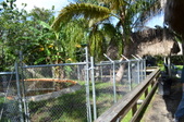 Enlarge photo 38