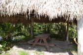 Enlarge photo 43