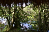 Enlarge photo 45