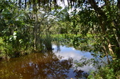 Enlarge photo 46