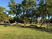 Enlarge photo 19
