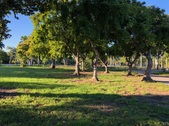 Enlarge photo 33