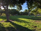 Enlarge photo 34