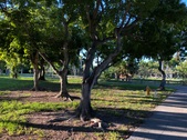 Enlarge photo 35