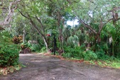 Enlarge photo 51