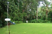 Enlarge photo 53