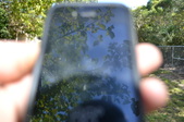 Enlarge photo 27