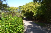 Enlarge photo 53