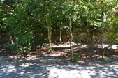 Enlarge photo 54