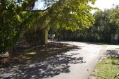 Enlarge photo 55