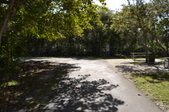Enlarge photo 56
