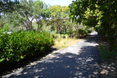 Enlarge photo 57