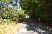 Enlarge photo 58