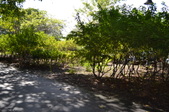 Enlarge photo 60