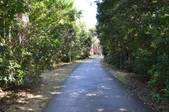 Enlarge photo 62